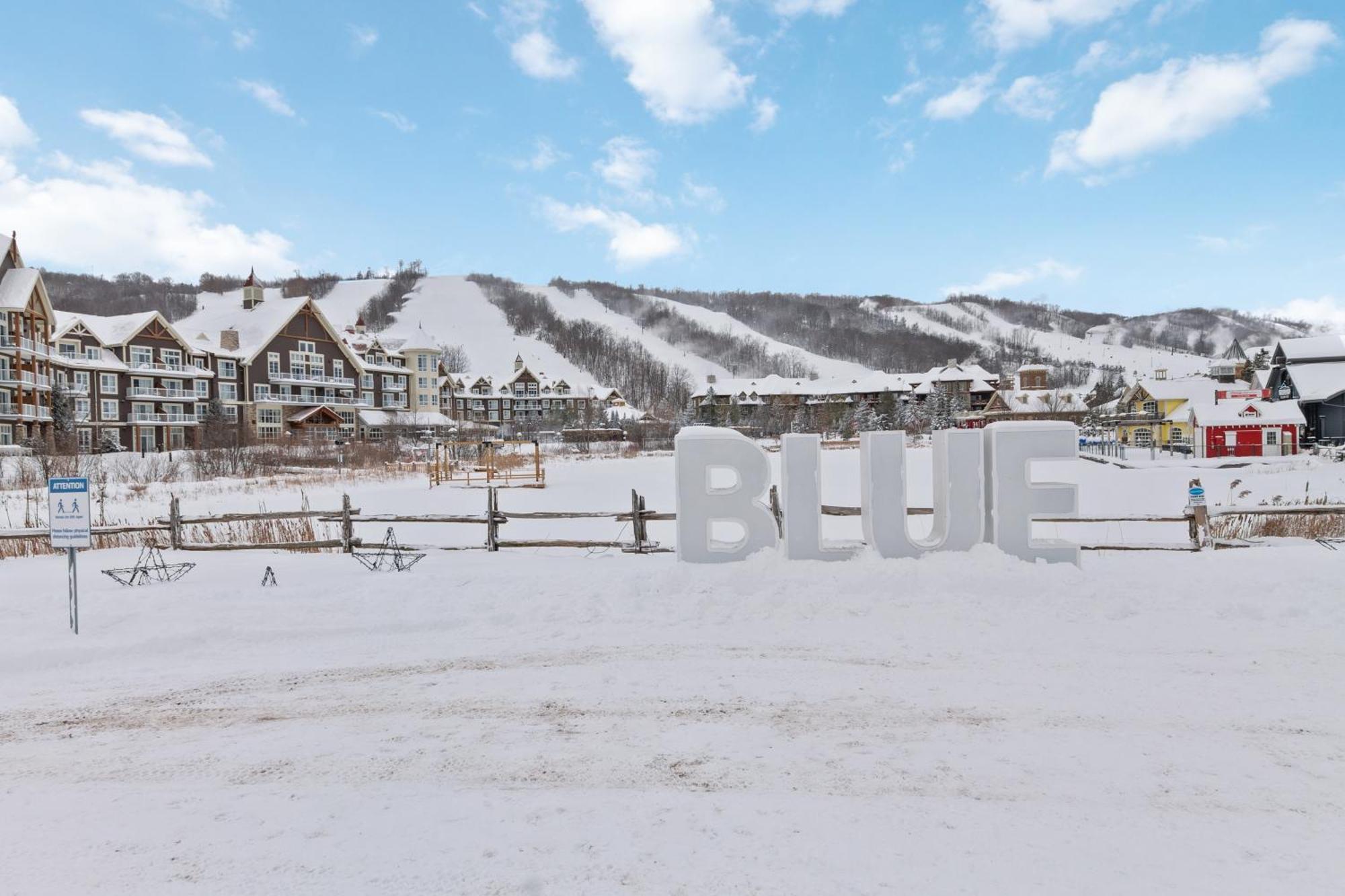 Lovely 3 Bedroom Wintergreen Retreat W Sauna Blue Mountains Eksteriør bilde